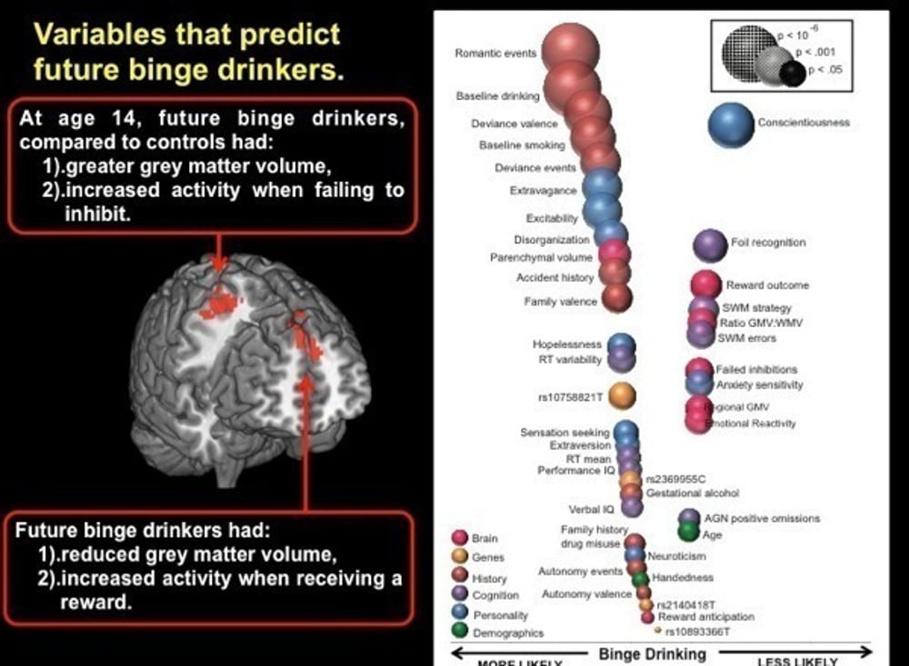Subthalamic nucleus connectivity in binge drinkers and