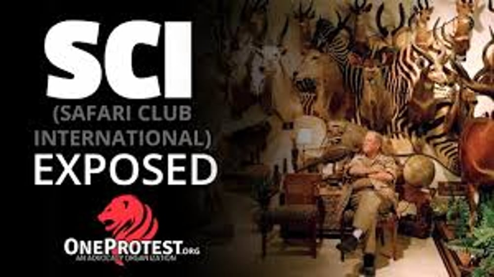 Safari Club International President exposed