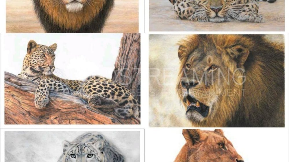 professional watercolor paintings of big cats
