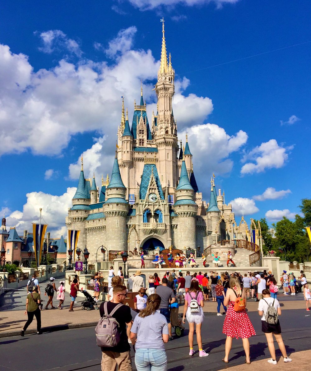 Florida Resident Annual Passes Discount $19/month $205 Down Super Access Travel