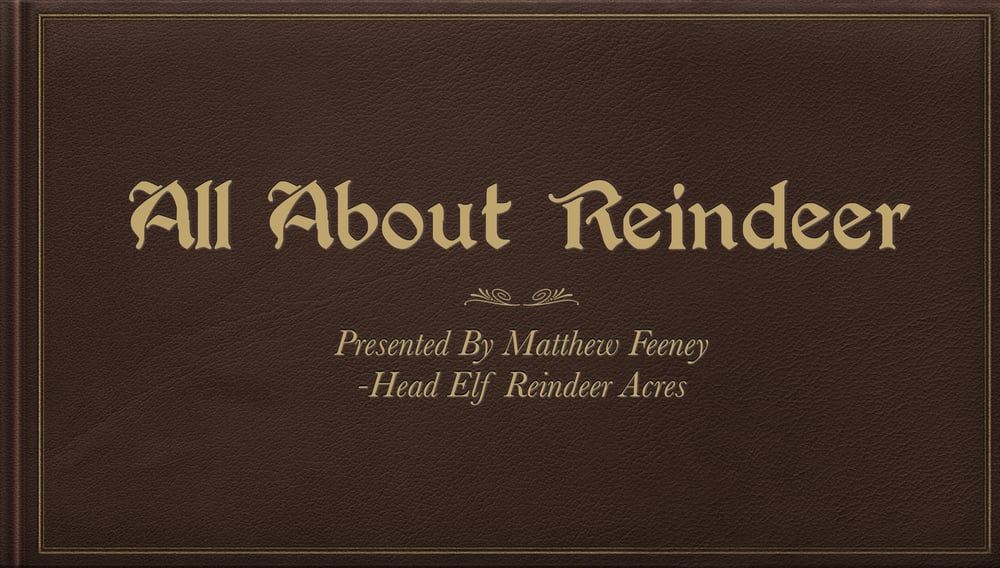 All About Reindeer Keynote Presentation
