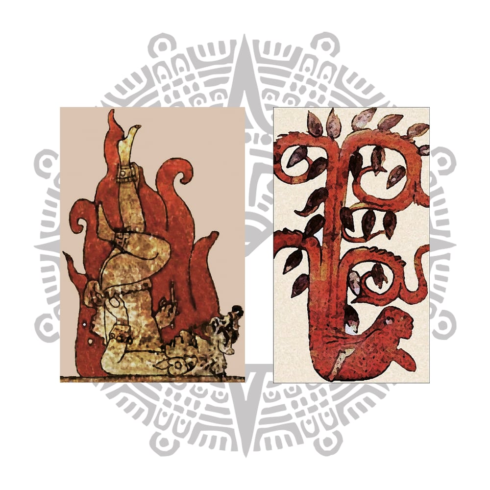 Postura de la Llama y el hombre-árbol, dibujos de vasos mayas.