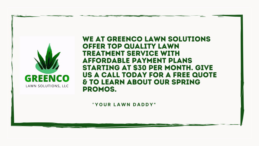 GreenCo Lawn Solutions can make your lawn your office.  Paulding counties premier lawn care provider