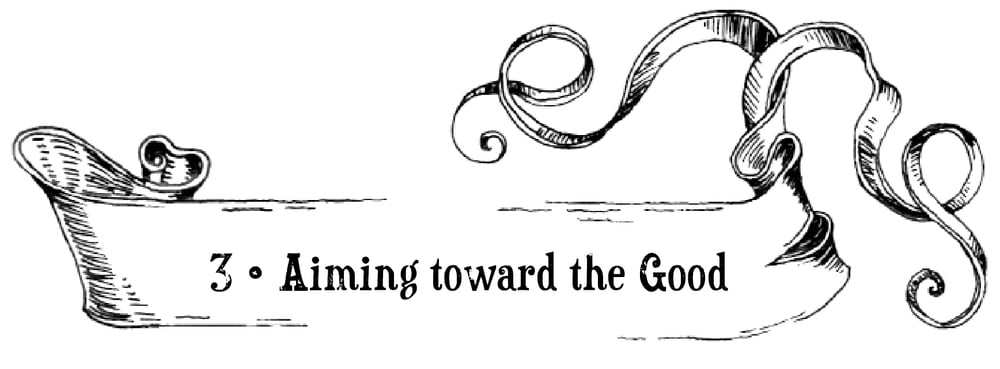 Chapter 3: Aiming toward the Good