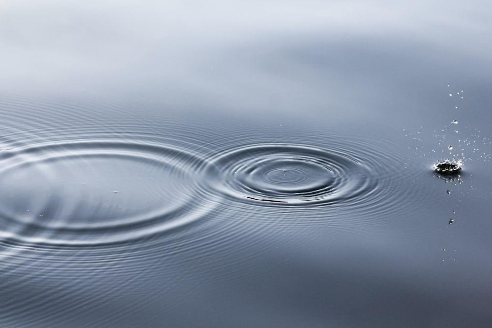 A drop of water ripples extending outward in a body of water
