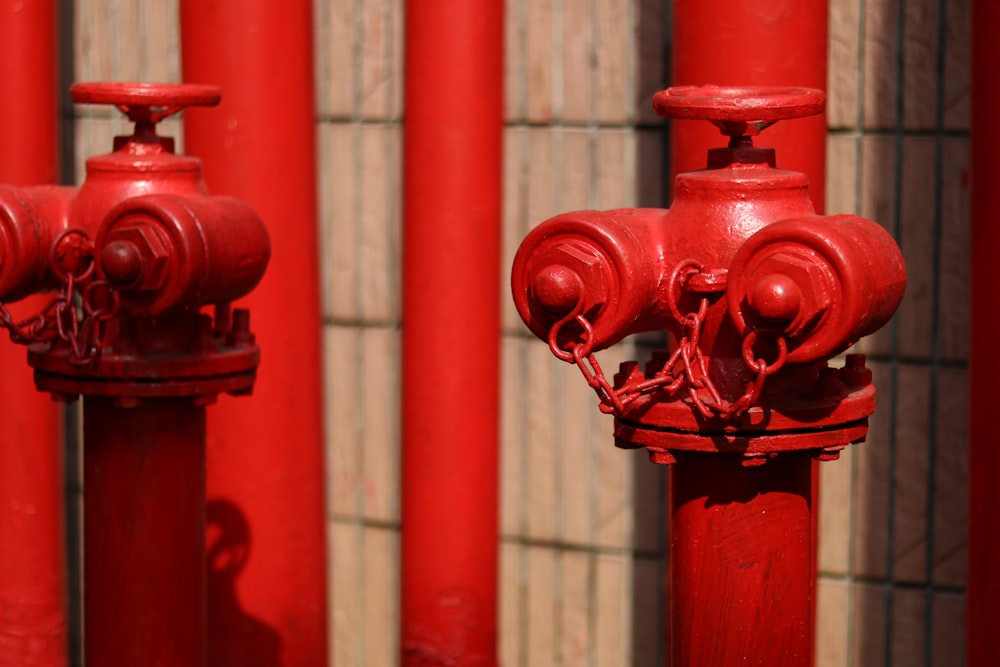 two red fire hydrants