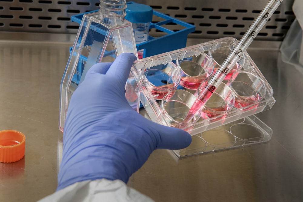 In this 2019 photo, a Centers for Disease Control and Prevention (CDC) scientist removes cell growth medium from a 6-well plate in preparation for a plaque assay, which is a test that allows scientists to count how many flu virus particles (virions) are in a mixture. The next step is to add flu virus to each of the wells to allow the virus to enter the host cells that are attached to the bottom of the plate. Photographer James Gathany