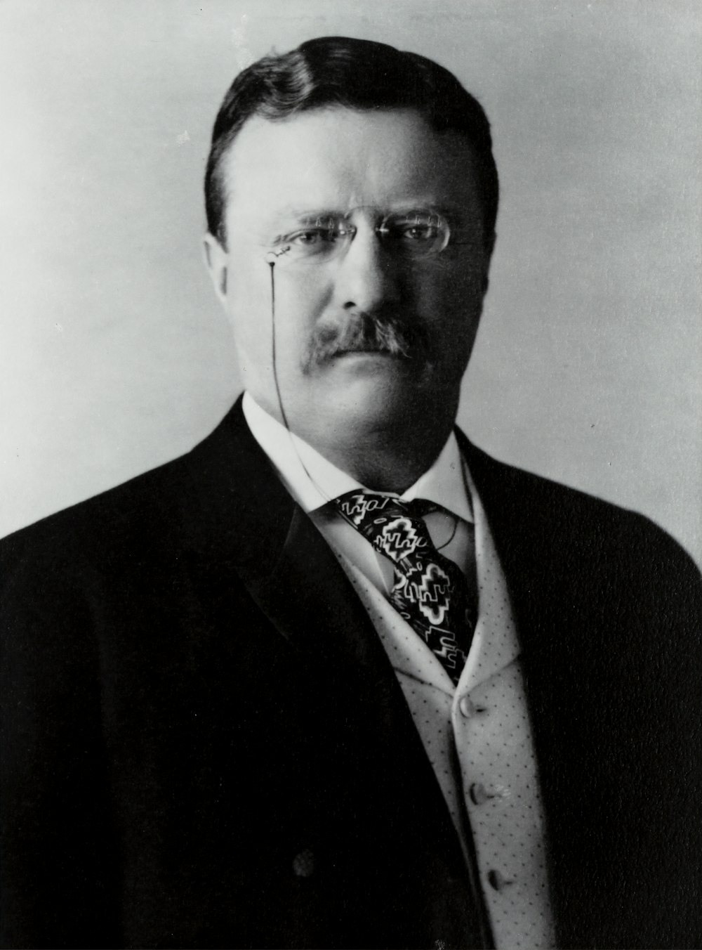[Theodore Roosevelt, three quarter length portrait, facing front]. Photograph by the Pach Brothers, c1904. Library of Congress Prints & Photographs Division. https://www.loc.gov/resource/cph.3a53299/