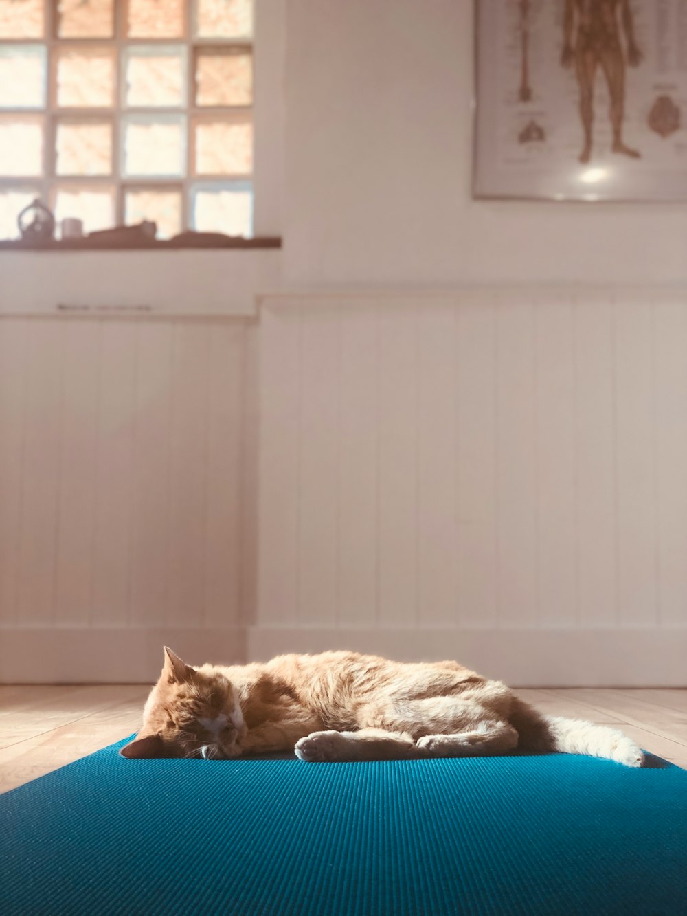 Thomas asleep on a yoga mat in the Sweetyoga Studio Central Portugal.