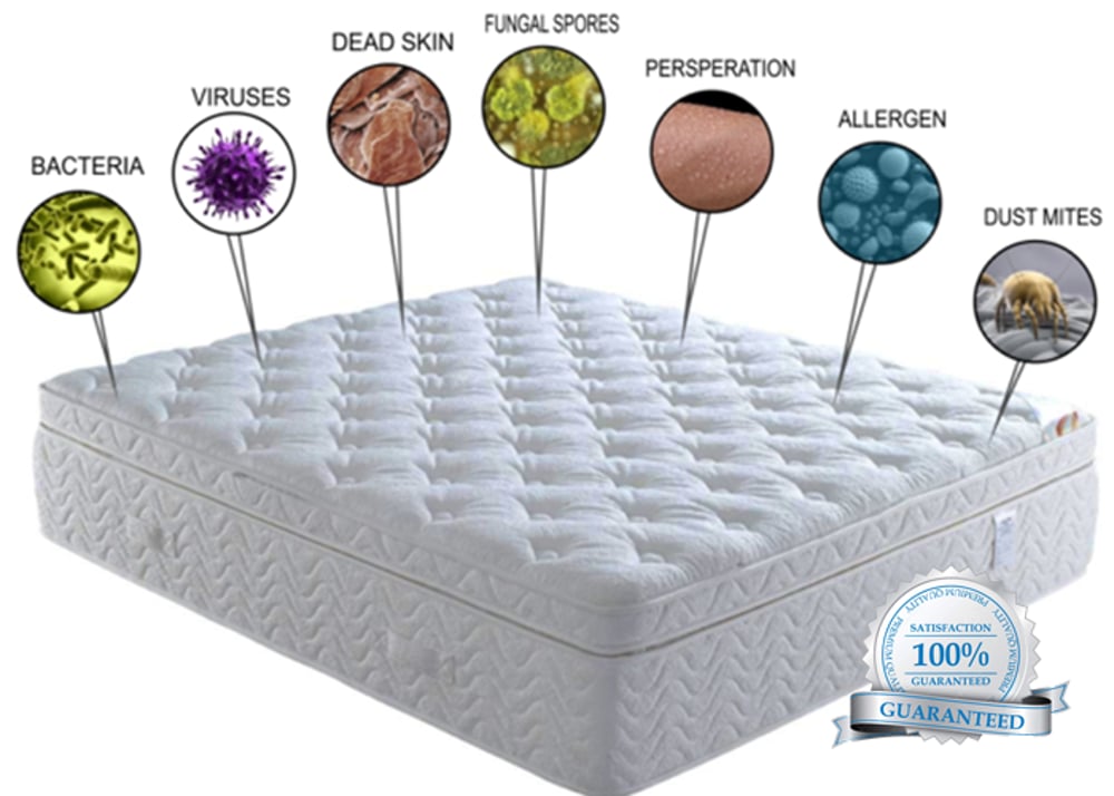 Commercial mattress cleaning at hotels