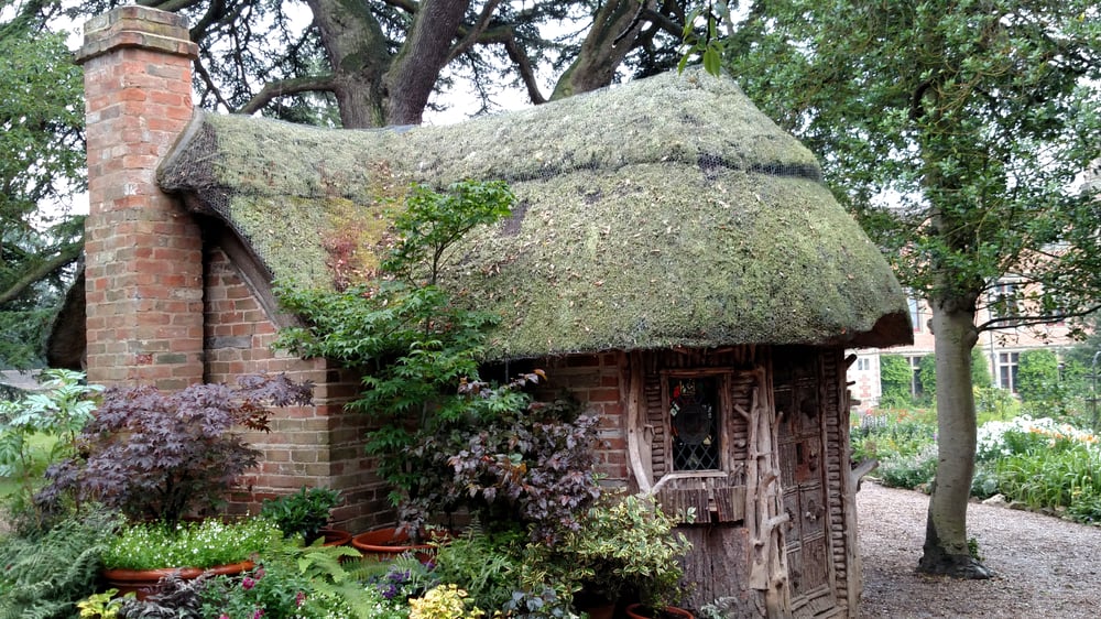 closeup photo of overgrown cottage surrounded by trees
