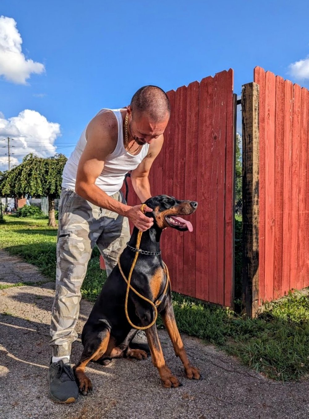 Ohio Dobermans Best Doberman Breeder Black Male Puppy Dog Cropped Ears Family Pet Professionally Trained Bite Sport Dog Dangerous Sitting with Nice Muscular White Man in Front of Privacy Fence