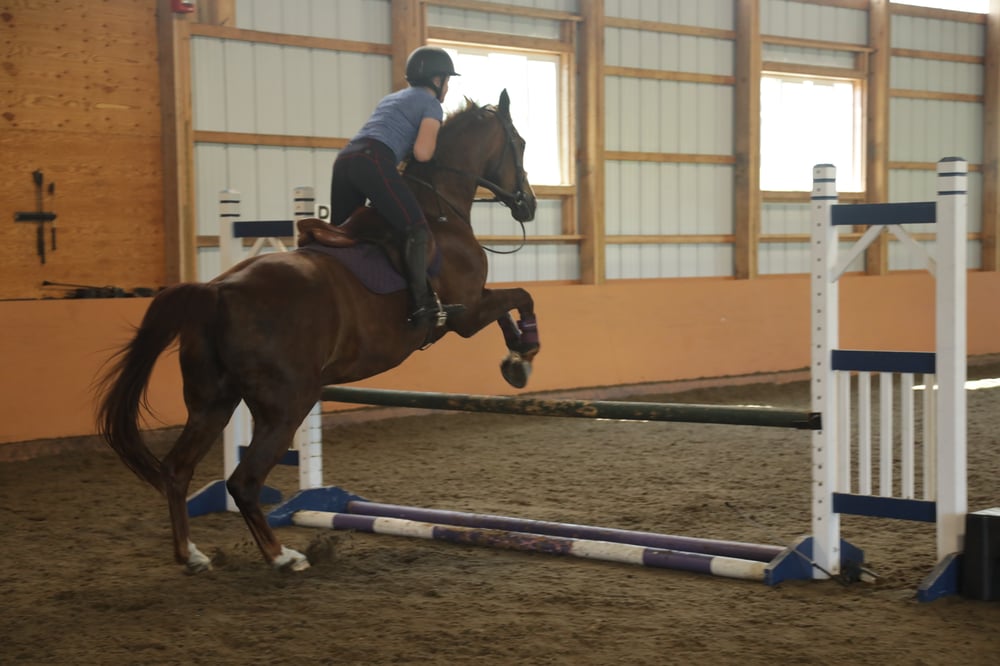 Advanced rider jumping in horseback lesson