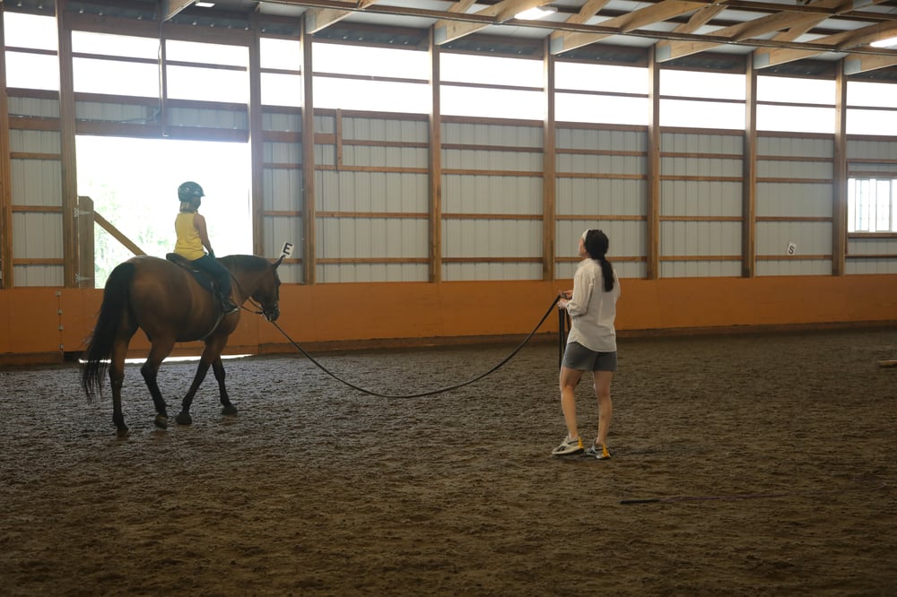 Advanced rider jumping in horseback lesson