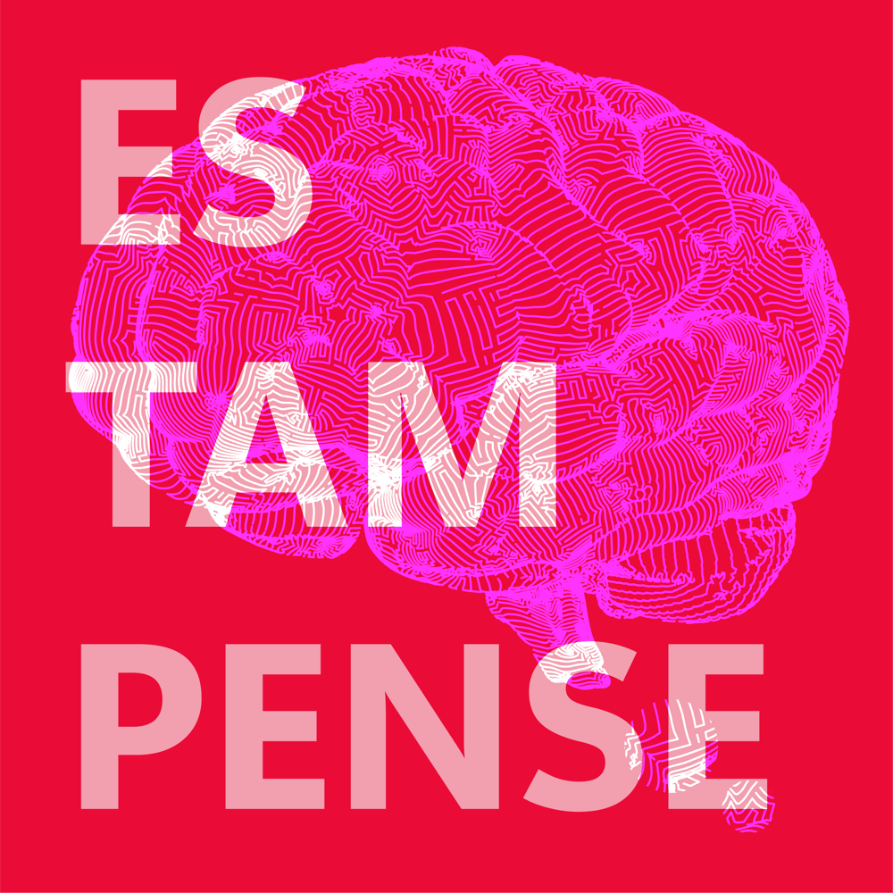 Imagem do logo de pesquisa acadêmica EstamPENSE. Contém o desenho de um cérebro estilizado e o título 