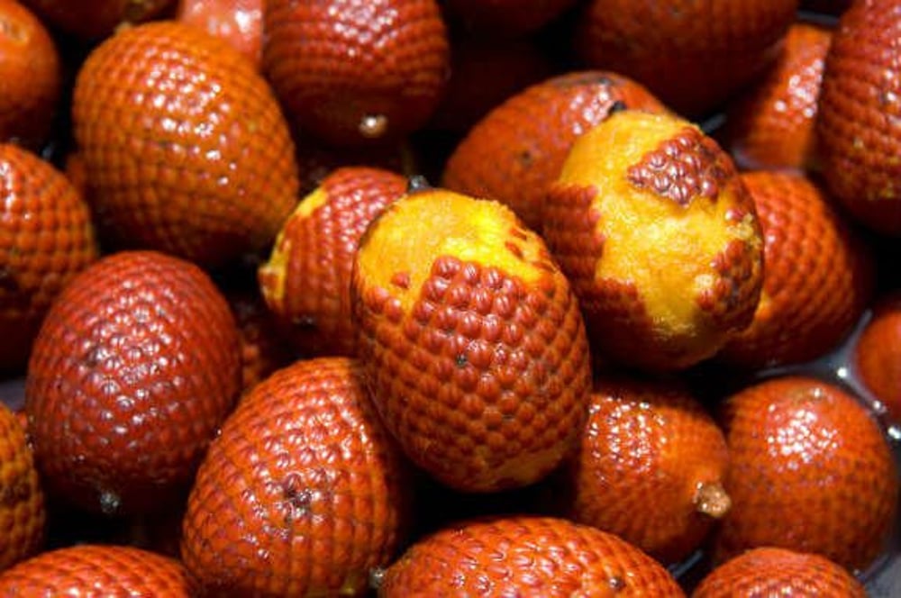brown round fruits on red textile