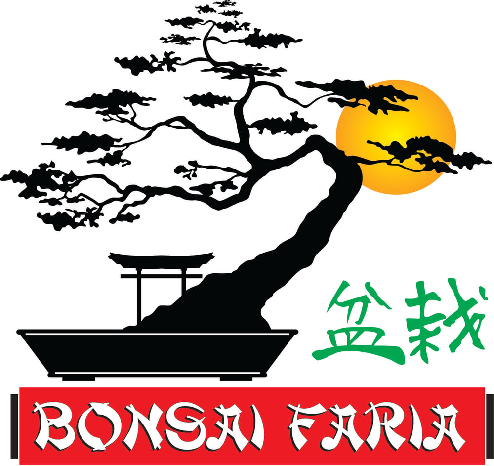 selective focus photography of bonsai plant