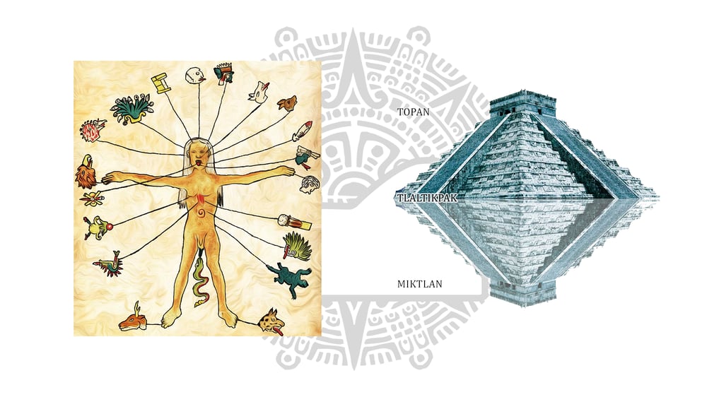 El cuerpo, imagen del Cosmos, lámina del Códice Vaticano 3728. El octaedro cósmico.