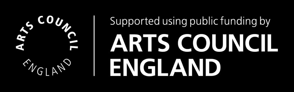 Arts Council England Logo - Children's entertainer in Norfolk and Suffolk