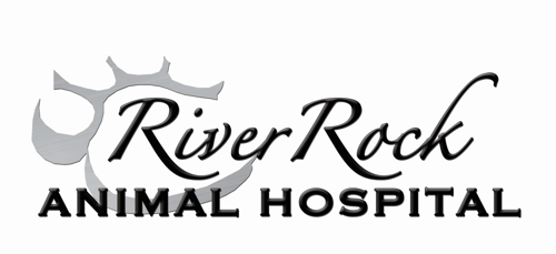 Doctors - River Rock Animal Hospital