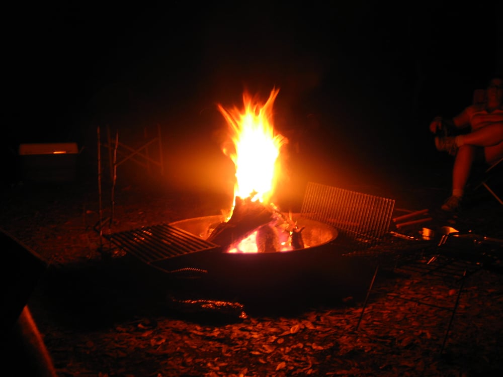 group of people near bonfire near trees during nighttime