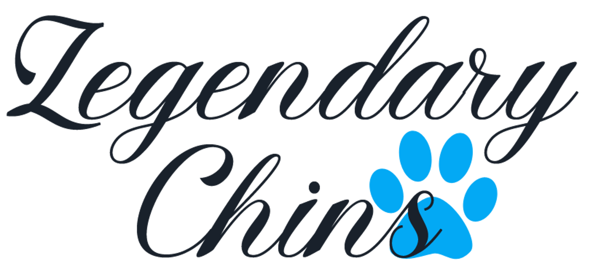 Healthy Japanese Chins of Central Indiana - LegendaryChins