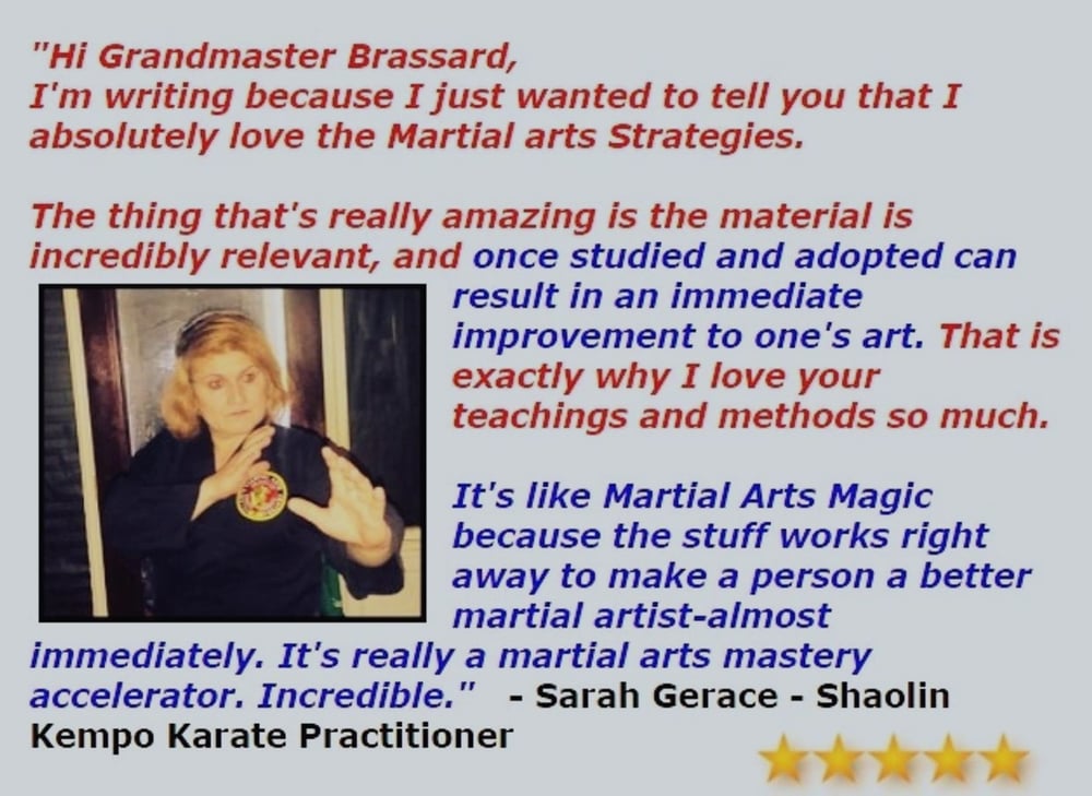 Martial Arts Fighting Strategies