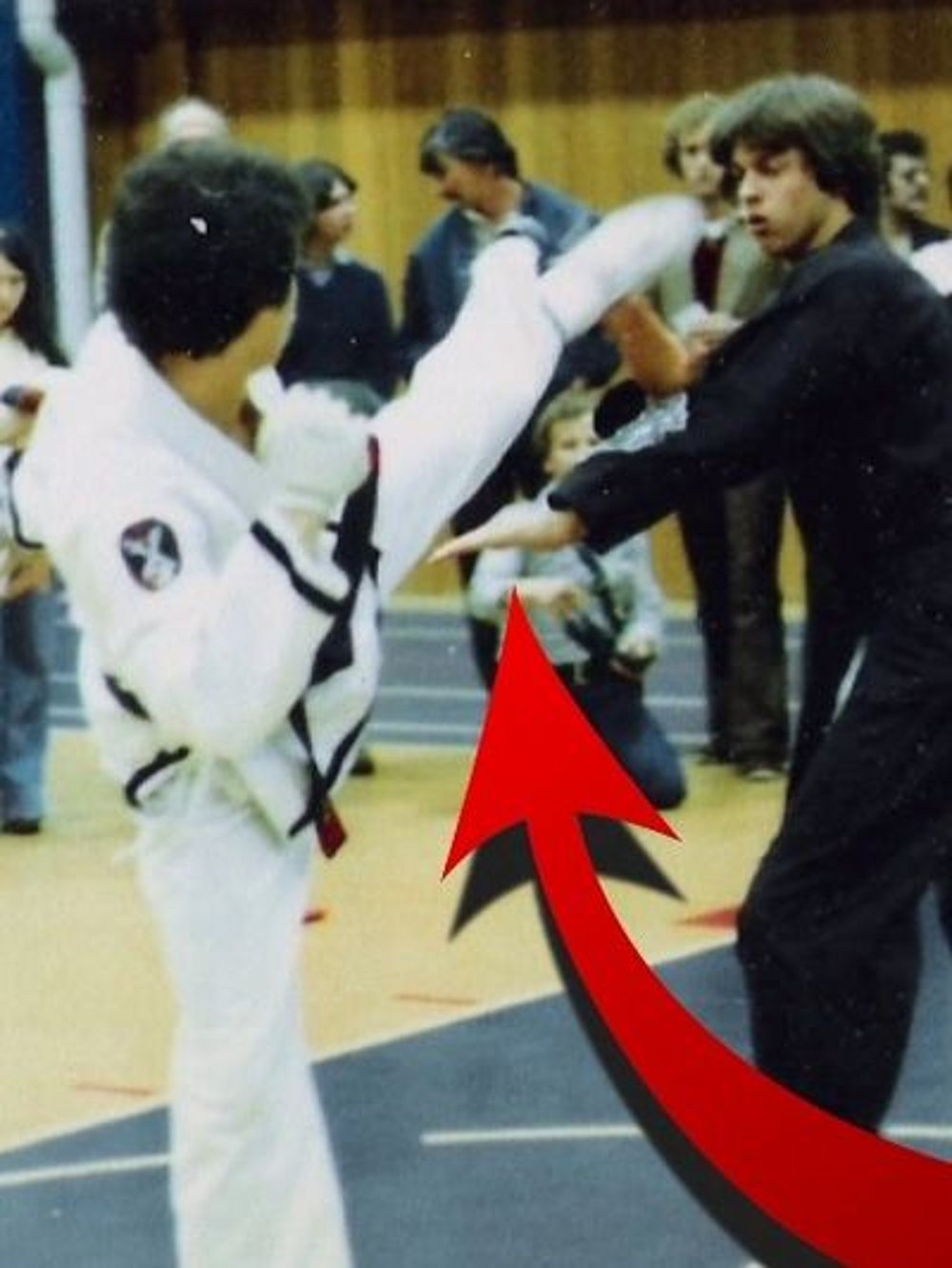 Secret of Striking in the Martial Arts 
Land Strikes FAST